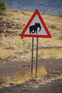 individualreise, namibia, mietwagen