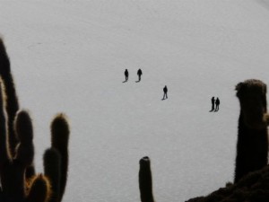 Die Isla Pescado mitten im Salar de Uyuni