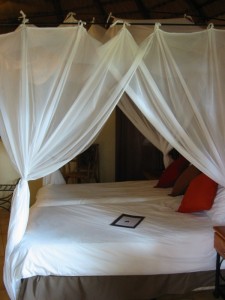 Zimmer Sabi Sand