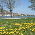 Frühling an der Donau, 1.Teil