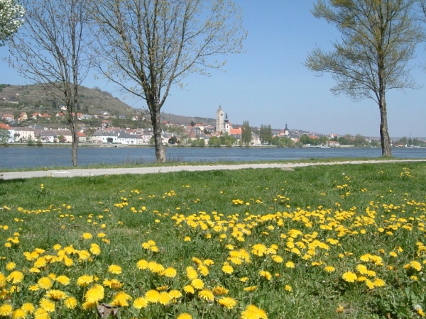 Stein an der Donau