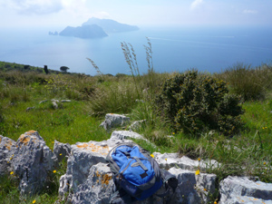 Blick auf die Insel Capri