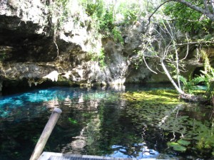 Grotte Sac Actún oder Gran Cenote