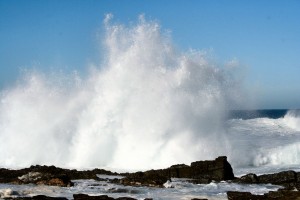 Walhauptstadt Hermanus Küste