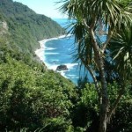 Neuseeland Reise per Mietwagen mit Coromandel Halbinsel, Weinland Wairarapa und dem Abel Tasman Nationalpark