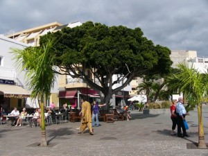 Urlaub in El Medano