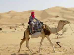 Trekking auf dem Kamel