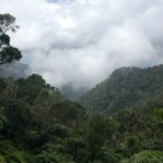 Sierra Maestra, Kuba, die Wolken holen uns unterwegs zum Pico Turquino ein
