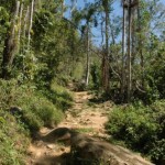 Sierra Maestra, Kuba, Unterwegs zur Comandancia la Plata