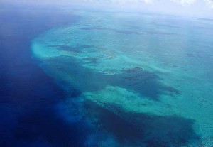 Banco Chinchorro, Mexikos Atoll vor der Costa Maya