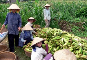 Mekong Delta