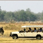 Camping Touren Botswana & Sambia Rundreisen mit Chobe, Moremi & Okavango Delta