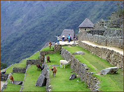 Besuch der Inkastadt Machu Picchu