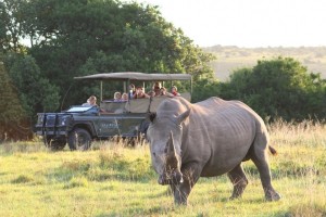 Pirschfahrt im Lalibela Wildreservat