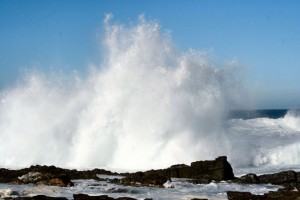 Küstenstadt Hermanus