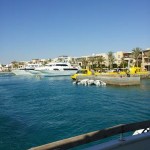 Tauchurlaub Ägypten - Tauchen in Port Ghalib / Rotes Meer