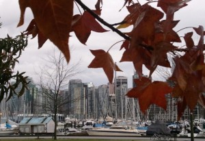 Herbststimmung im Hafen von Vancouver