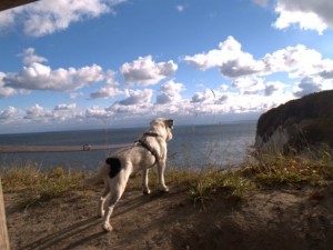 Singleurlaub auf Rügen