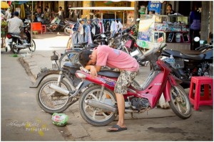 Ein typisches Bild in Kambodscha. Das Moped für alle Situationen.