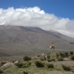 Peru Rundreise: Unvergessliche Entdeckungstour im geheimnisvollem Land der Inkas