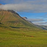 Trogtal Svarfaðardalur – Nord-Island