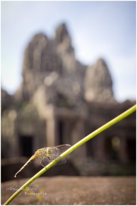 aufgenommen vor dem Bayon Tempel