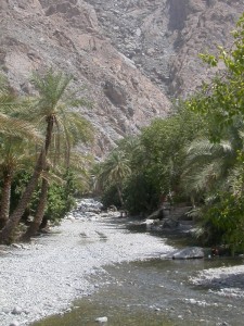 Wadis