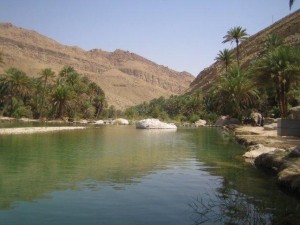 Oman Oase Singlereisen