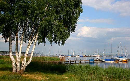 Mardorfer Uferweg am Nordufer