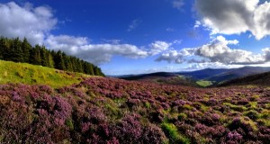 Wicklow Mountains Irland Mietwagenrundreise