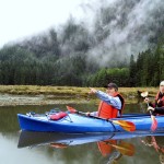 Grizzlybären und Wale in British Columbia Kanada