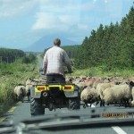 Weg nach Clifden (5)