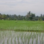Rundreise Bali