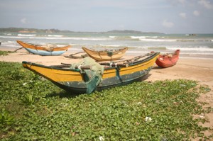 Fischerboote an der Südküste von Sri Lanka