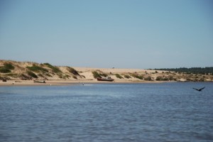 Wanderdünen in Uruguay