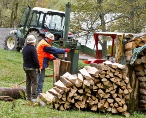 Holzarbeit auf dem Größbach Hof