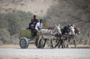 Farmbetrieb