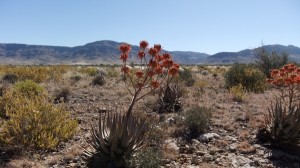 Namibia Reisen