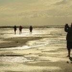 Schleswig-holsteinisches Wattenmeer: Ein Kleinod an der deutschen Küste