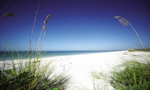 Ferienhaus Florida, der Strand am Lovers Key State Park