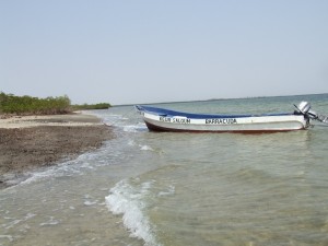 Einsame Inseln im Sine Saloum Delta