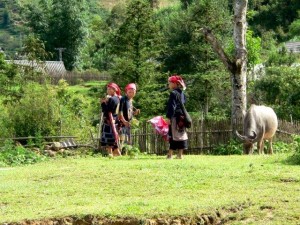 Authentisches Vietnam