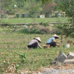 China individuell erleben - Guilin, eine Station auf unserer Rundreise