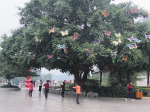 ein Baum voller Schmetterlinge