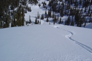 Tree Skiing Kanada