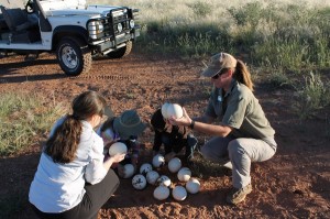 Kalahari-Anib-Lodge-Pirschfahrt