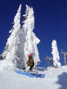 Skireise durch Kanada, Snowboard und Champagne Powder