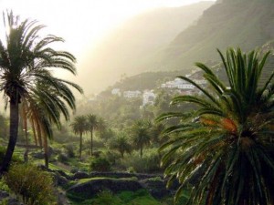 Urlaub für Singles auf La Gomera