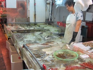 frische Fische