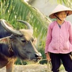 Reise nach Laos und Vietnam - 2 Juwelen Indochinas
